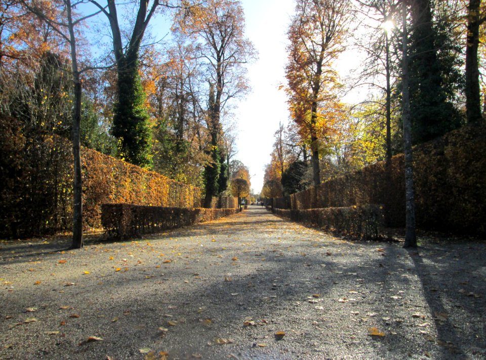 20181111Schlossgarten_Schwetzingen