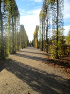 20181102Nördliche_Lindenarkaden1