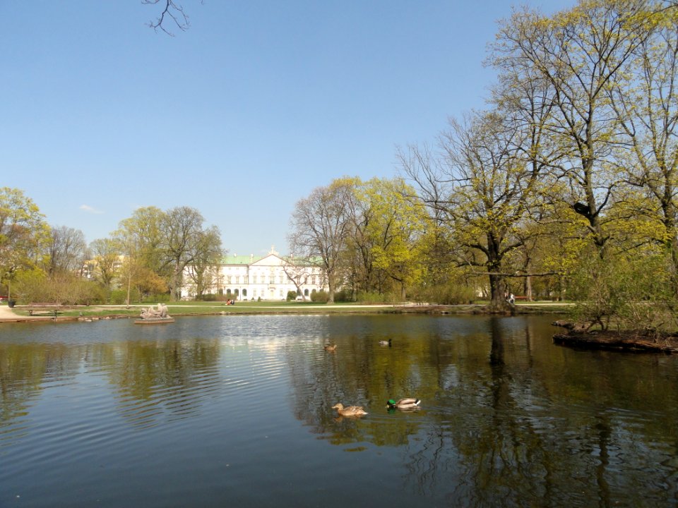 2019_Warszawa_Ogród_Krasińskich,_14