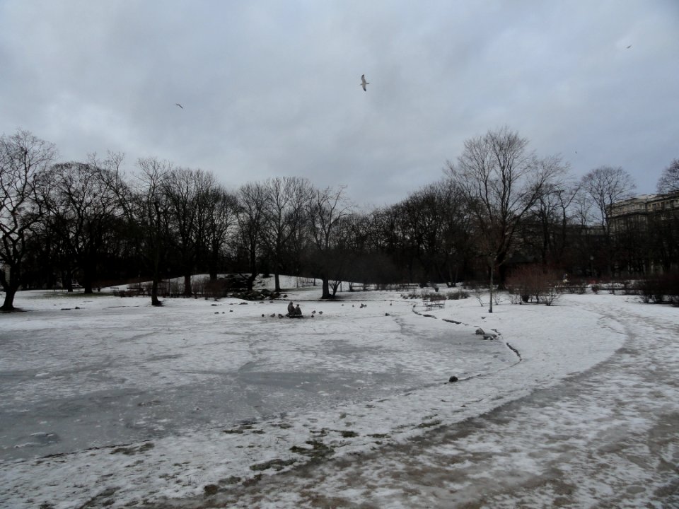 2019_Warszawa_Ogród_Krasińskich,_7