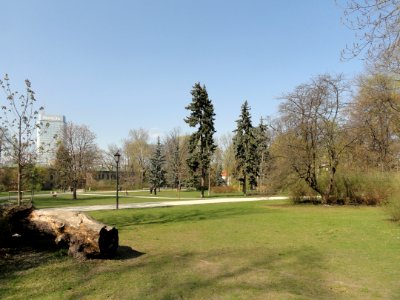 2019_Warszawa_Ogród_Saski,_4 photo