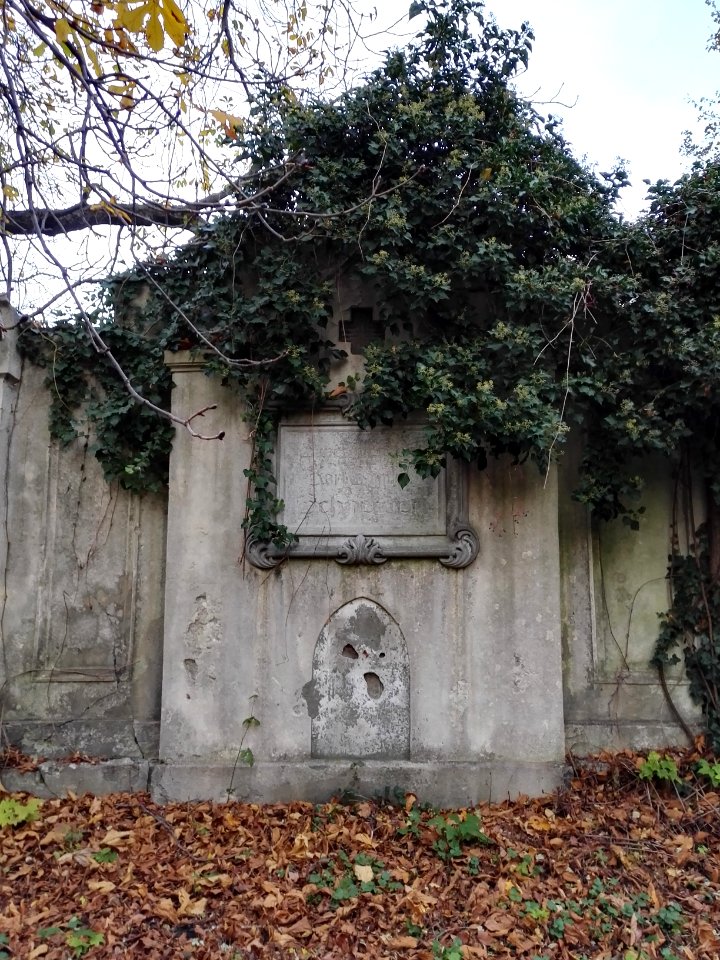 20181101_Schneider_grave_Bielitz