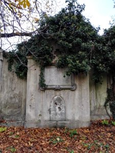 20181101_Schneider_grave_Bielitz