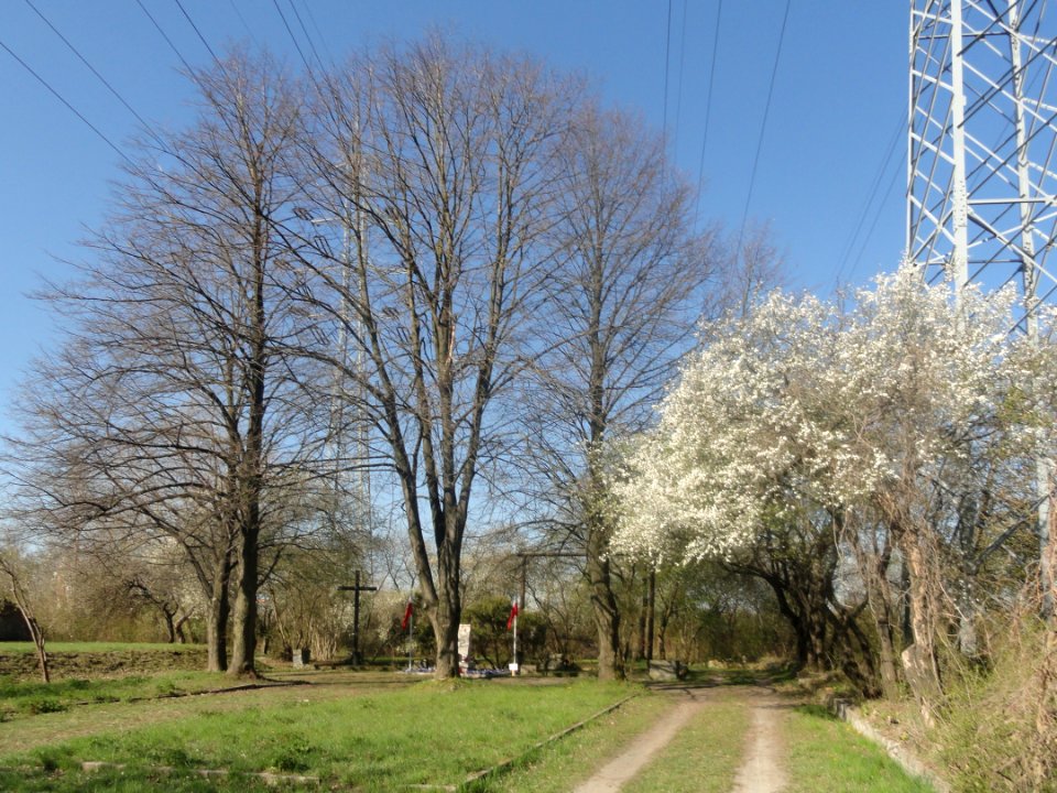 2019_Warszawa_Szubienica_na_Woli,_4