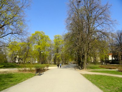 2019_Warszawa_Ogród_Krasińskich,_23