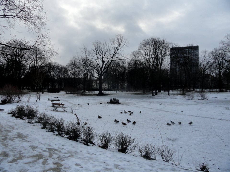 2019_Warszawa_Ogród_Krasińskich,_3