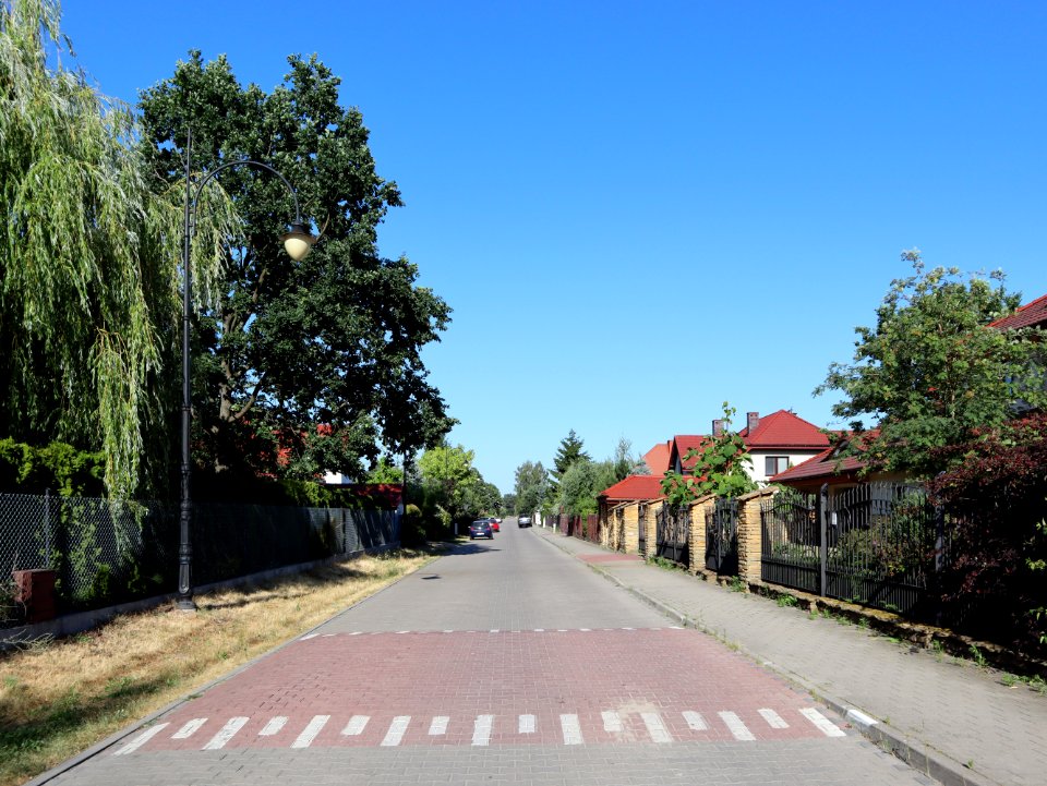 2019_Warszawa_Tymotki,_1
