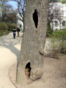 2019_Warszawa_Ogród_Krasińskich,_20
