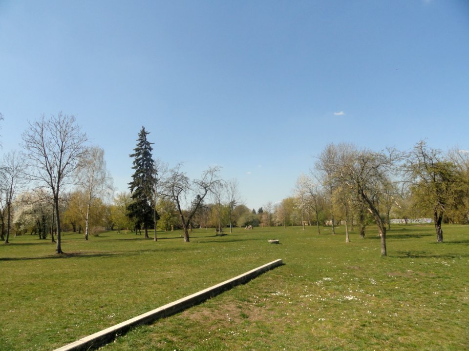 2019_Warszawa_Pole_Mokotowskie,_3