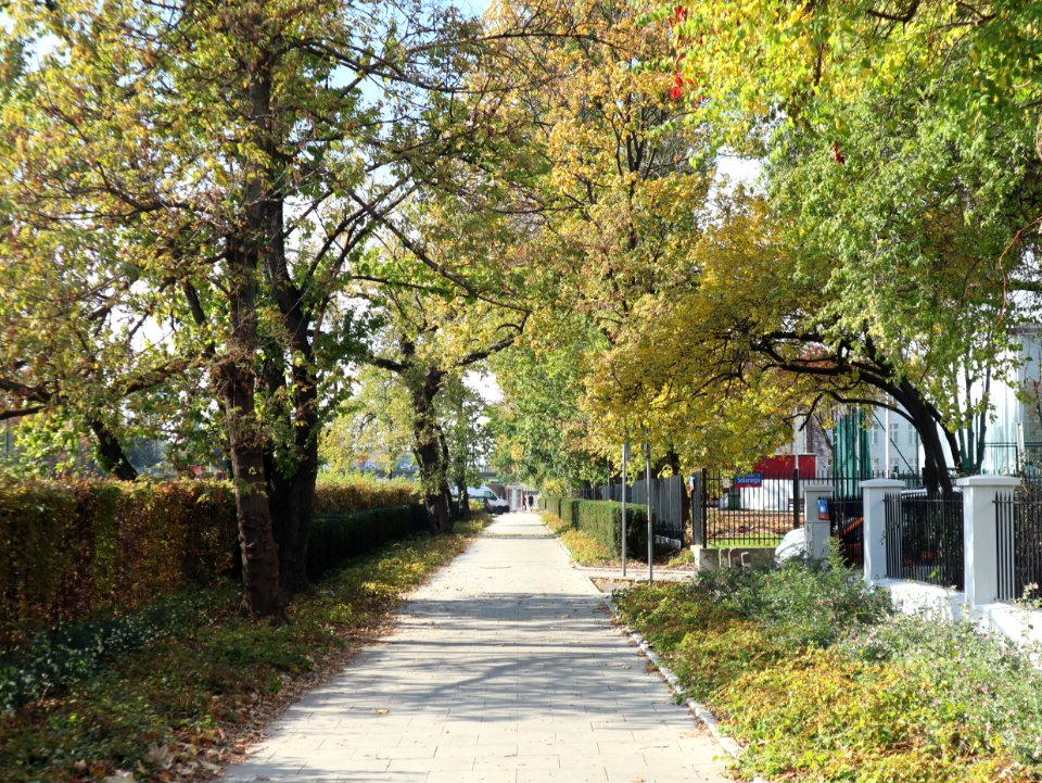 2019_Warszawa_Wawelska,_chodnik