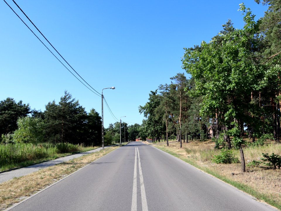 2019_Warszawa_Ruskowy_Bród,_1