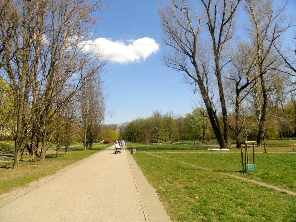 2019_Warszawa_Pole_Mokotowskie,_5