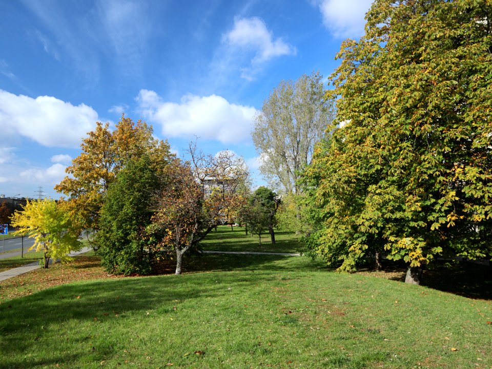 2019_Warszawa_Osiedle_Ostrobramska,_2