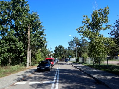 2019_Warszawa_Szczupacza