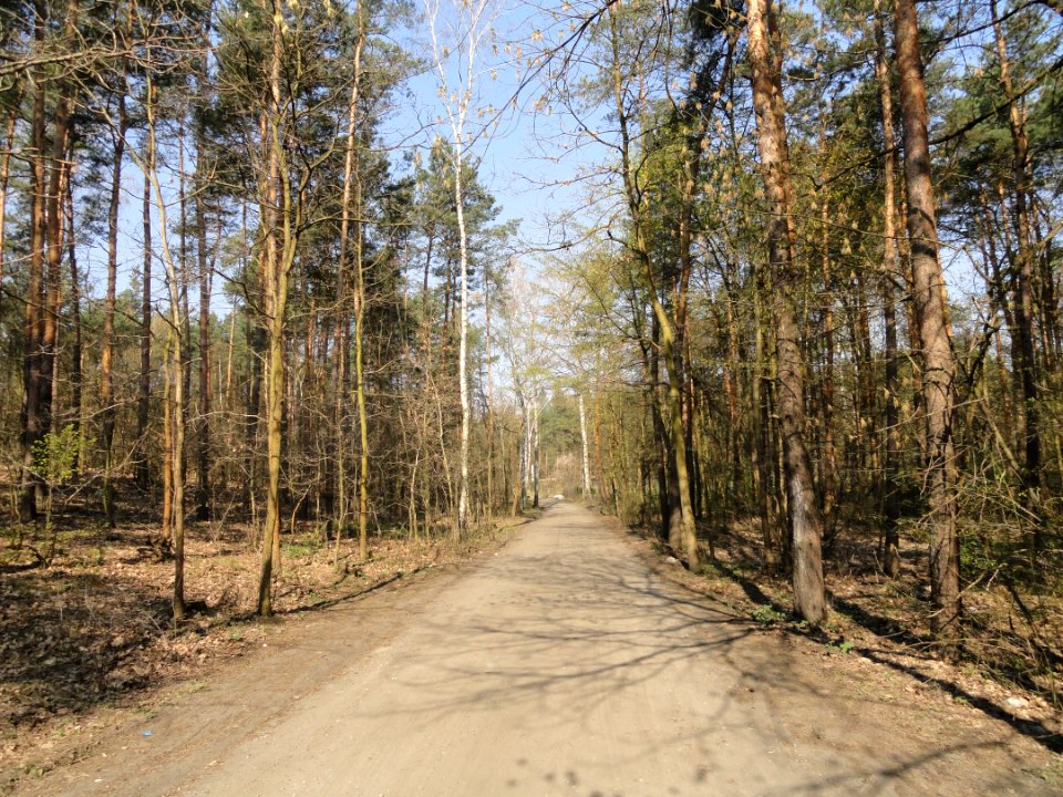 2019_Warszawa_Skierdowska