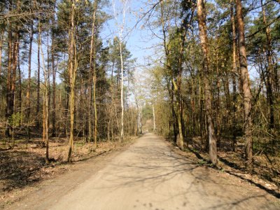 2019_Warszawa_Skierdowska