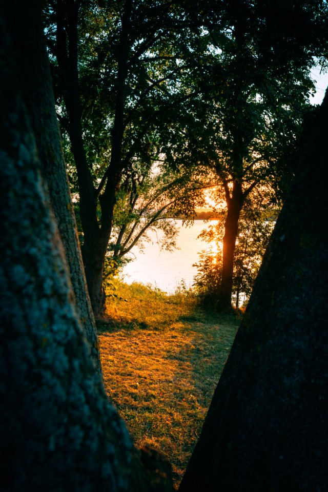 2019-07-05_Werratalsee_IMG_1500_edit_Christoph_Braun