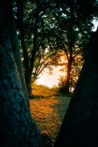 2019-07-05_Werratalsee_IMG_1500_edit_Christoph_Braun