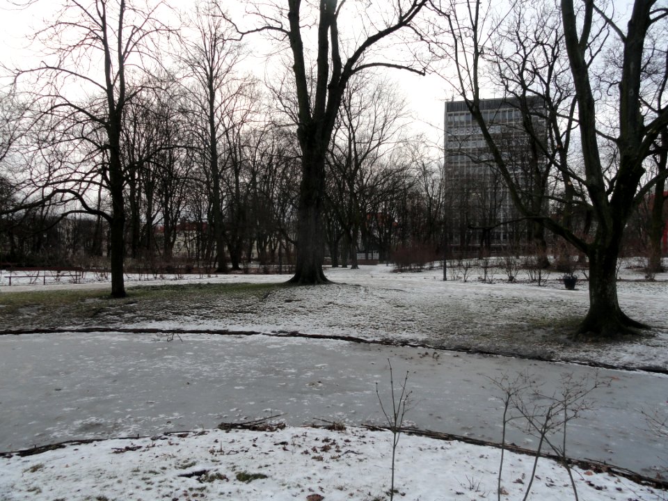 2019_Warszawa_Ogród_Krasińskich,_10