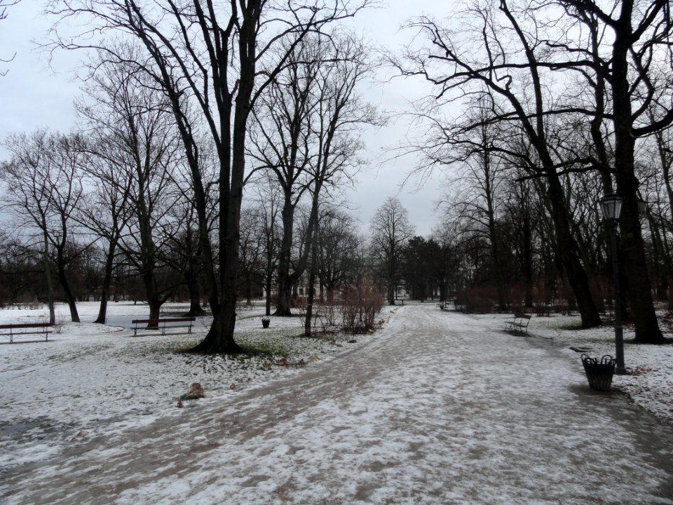 2019_Warszawa_Ogród_Krasińskich,_6