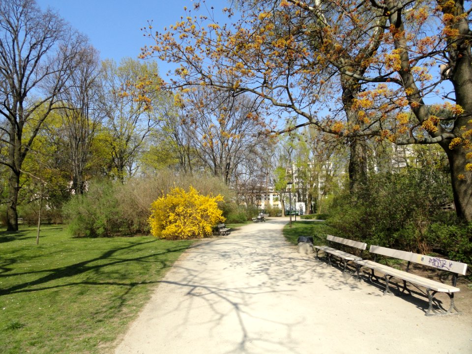2019_Warszawa_Ogród_Saski,_6