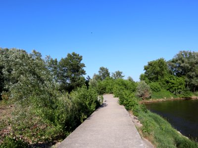 2019_Warszawa_ostroga_regulacyjna_na_Wiśle