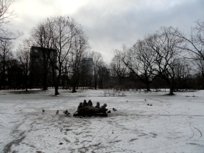 2019_Warszawa_Ogród_Krasińskich,_8