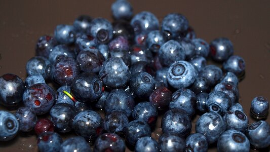 Forest berries closeup background