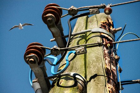 Wood wooden mast bremerhaven