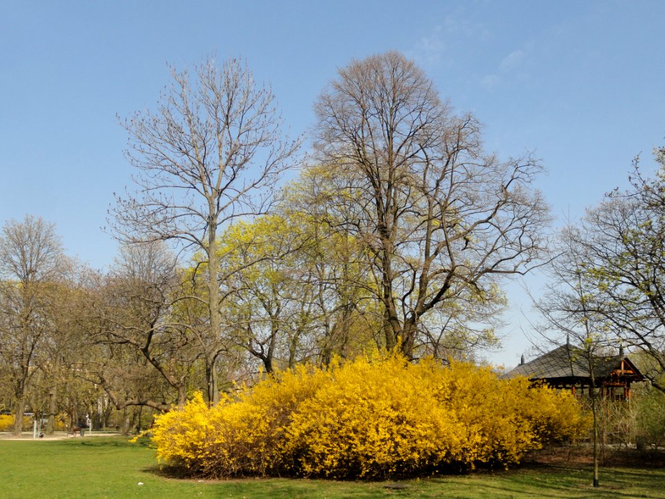 2019_Warszawa_Ogród_Krasińskich,_22