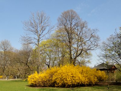 2019_Warszawa_Ogród_Krasińskich,_22