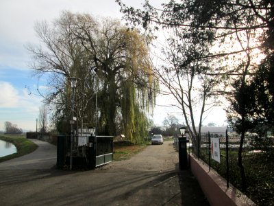 20181125Burg_Wersau6
