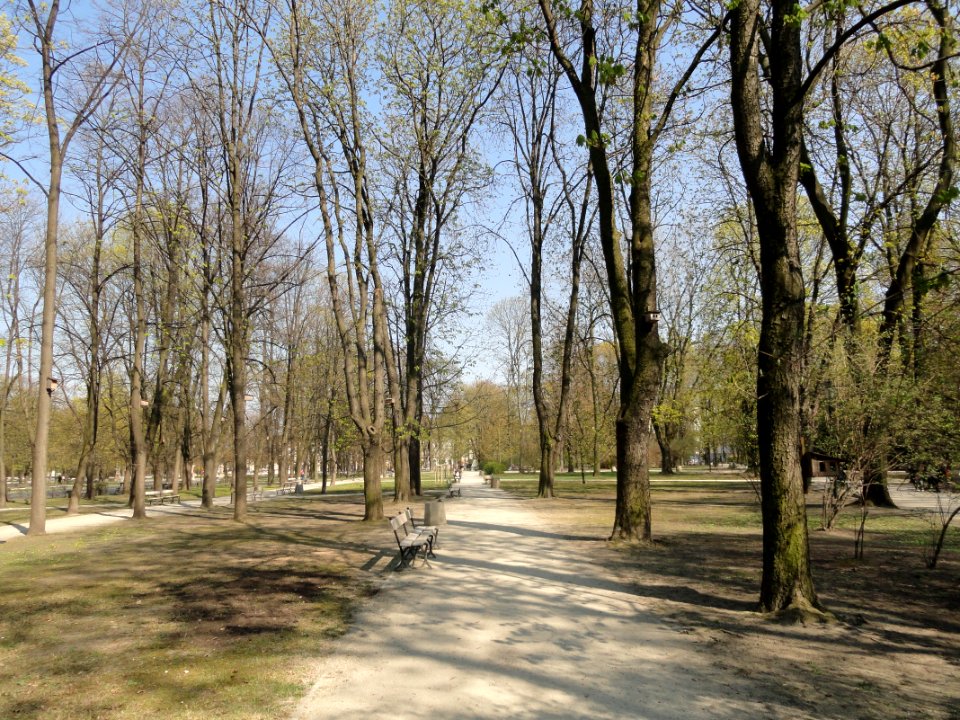2019_Warszawa_Ogród_Saski,_2