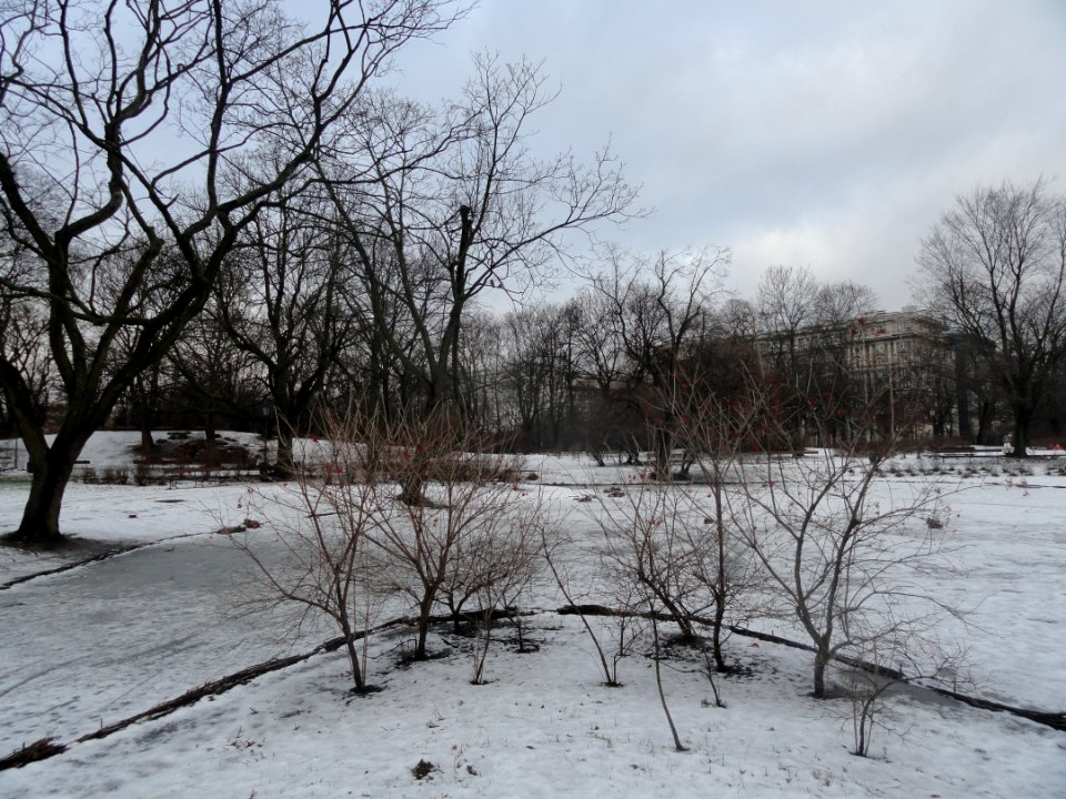 2019_Warszawa_Ogród_Krasińskich,_9