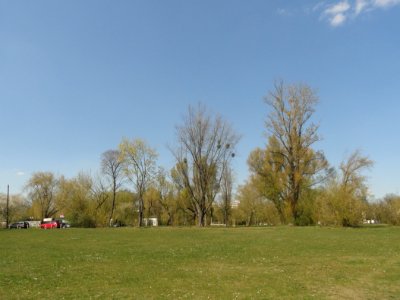 2019_Warszawa_Pole_Mokotowskie,_1