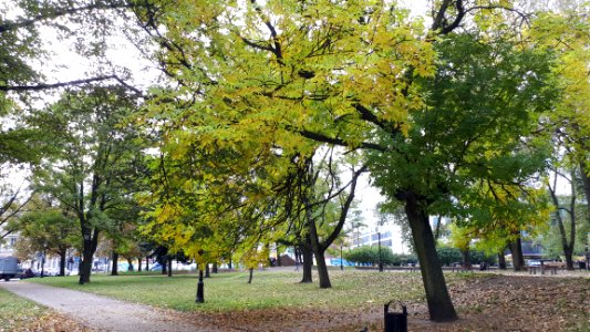 20181005_103940_Lodz_October_2018