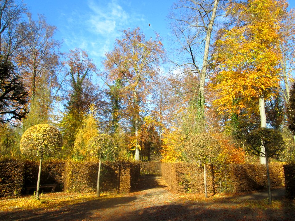 20181111Bosketten_Schwetzingen