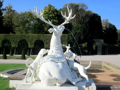 20180920Hirschgruppe_Schwetzingen1