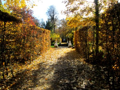 20181111Angloisen_Schwetzingen1