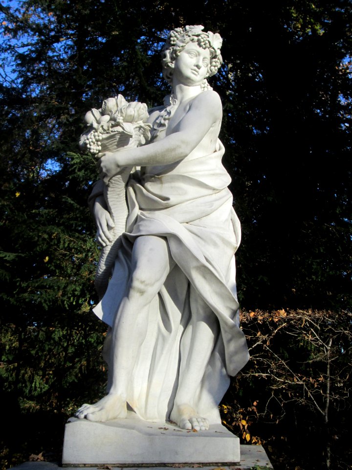 20181111Bacchus1