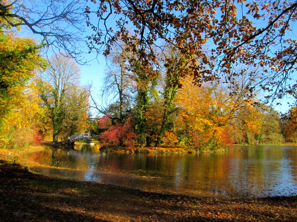 20181111Schlossgarten_Schwetzingen2