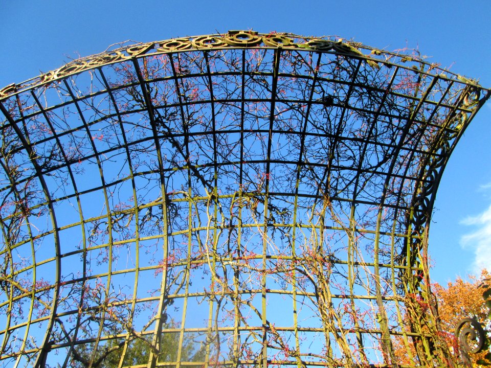 20181102Wasserspeiende_Vögel_Schwetzingen1