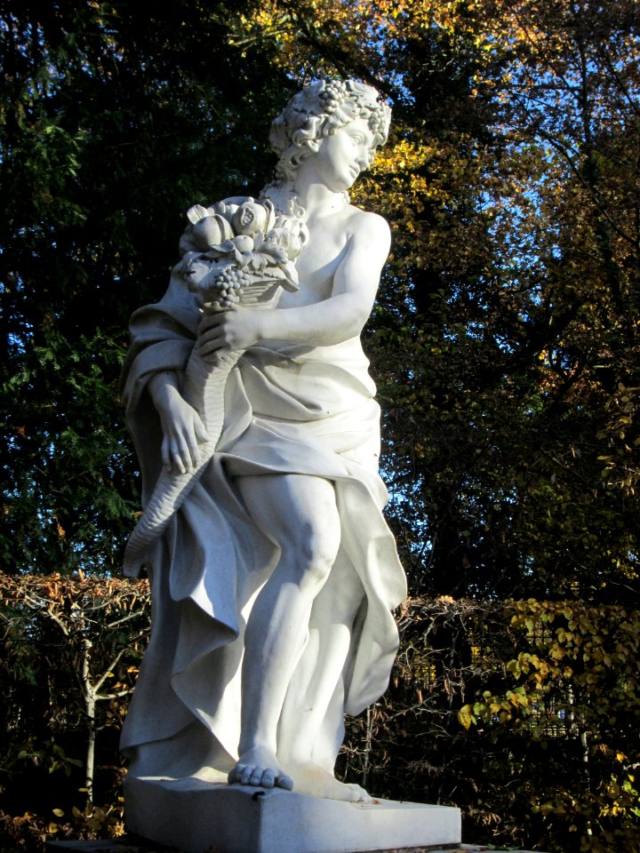 20181111Bacchus3
