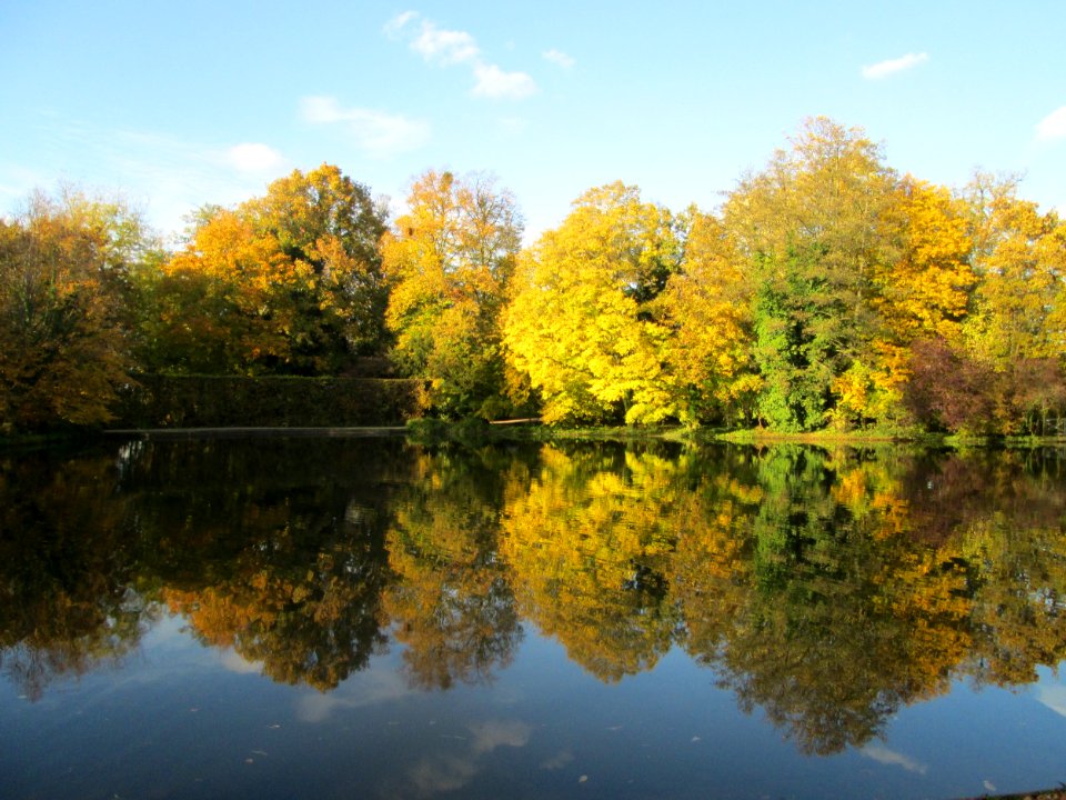 20181102Schlossgarten_Schwetzingen3