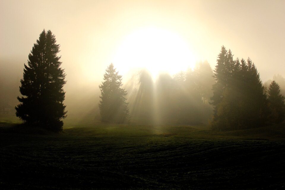 Sunlight spirit spiritual