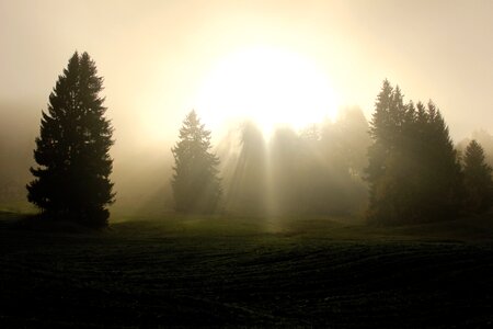 Sunlight spirit spiritual