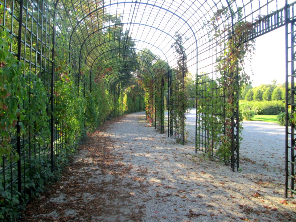 20180920Laubengang_Schwetzingen1