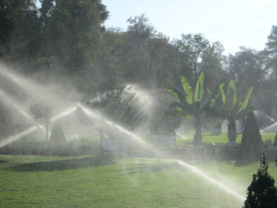 20180920Orangerieparterre_Schwetzingen3