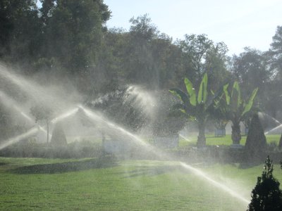 20180920Orangerieparterre_Schwetzingen3