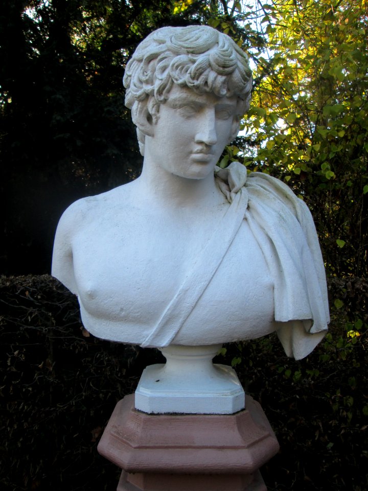 20181111Antonius5